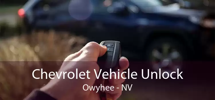 Chevrolet Vehicle Unlock Owyhee - NV