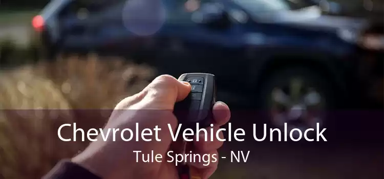 Chevrolet Vehicle Unlock Tule Springs - NV