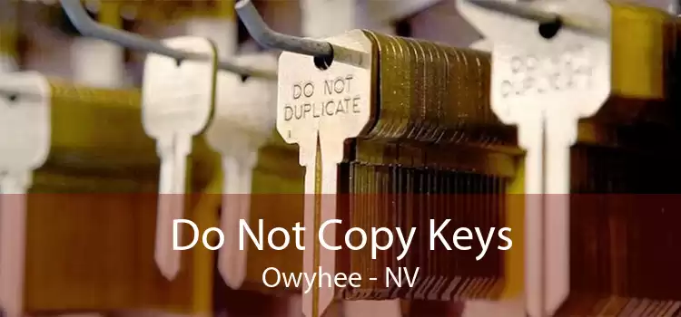 Do Not Copy Keys Owyhee - NV