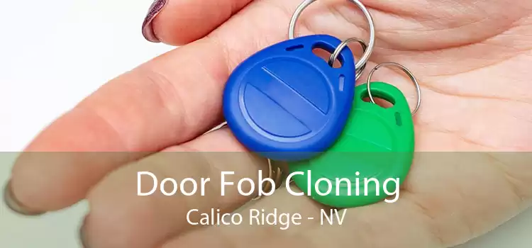 Door Fob Cloning Calico Ridge - NV