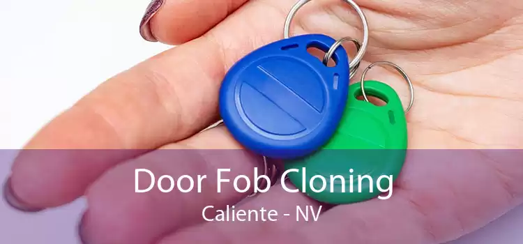 Door Fob Cloning Caliente - NV