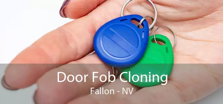 Door Fob Cloning Fallon - NV