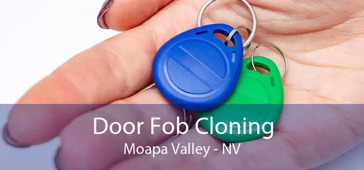 Door Fob Cloning Moapa Valley - NV