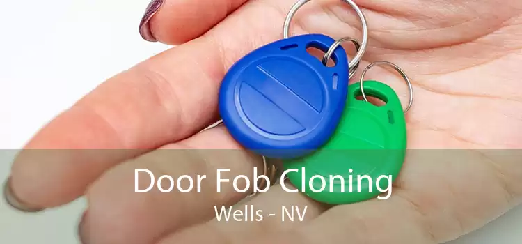 Door Fob Cloning Wells - NV