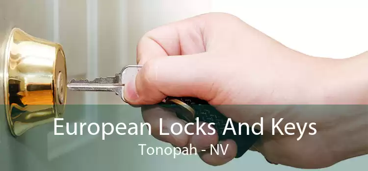 European Locks And Keys Tonopah - NV