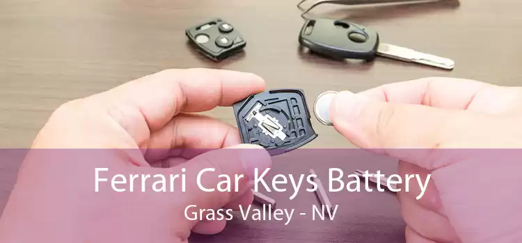 Ferrari Car Keys Battery Grass Valley - NV