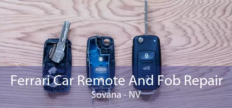 Ferrari Car Remote And Fob Repair Sovana - NV