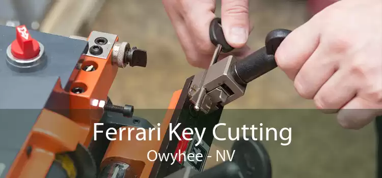 Ferrari Key Cutting Owyhee - NV