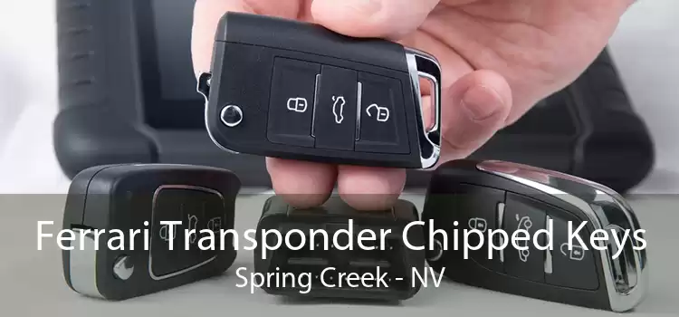 Ferrari Transponder Chipped Keys Spring Creek - NV