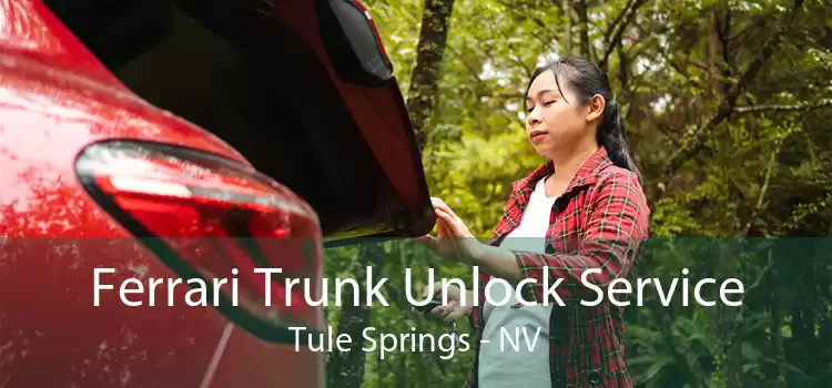 Ferrari Trunk Unlock Service Tule Springs - NV