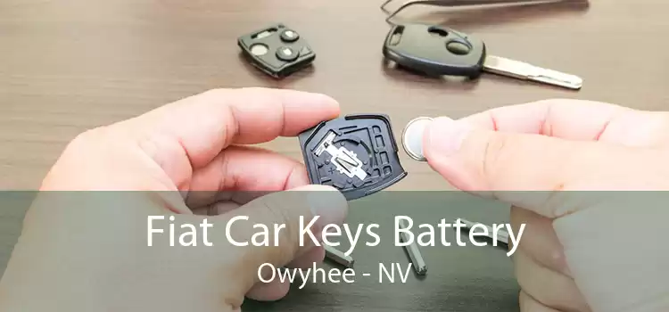 Fiat Car Keys Battery Owyhee - NV