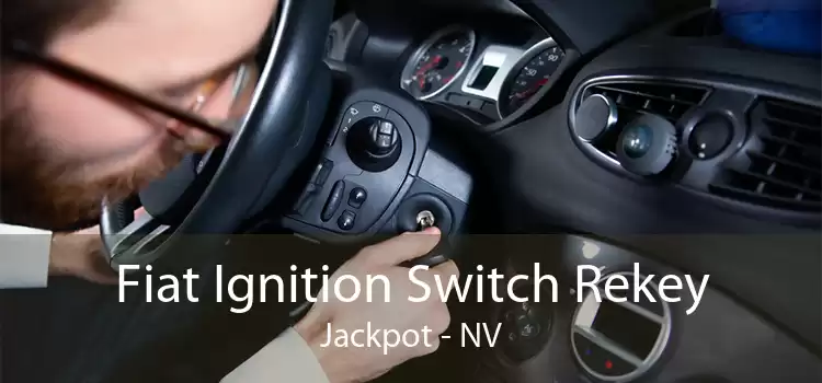 Fiat Ignition Switch Rekey Jackpot - NV