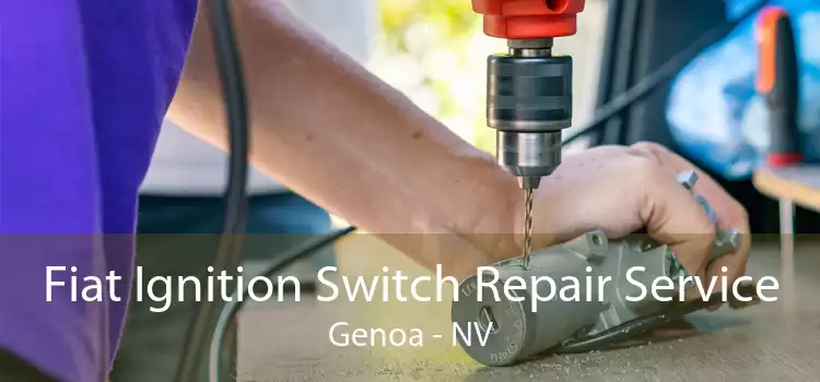 Fiat Ignition Switch Repair Service Genoa - NV