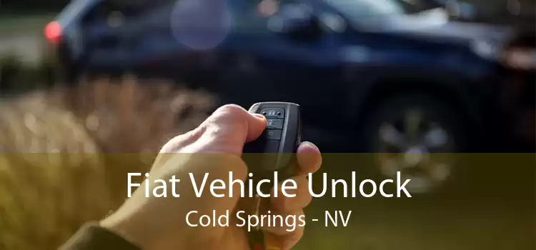 Fiat Vehicle Unlock Cold Springs - NV