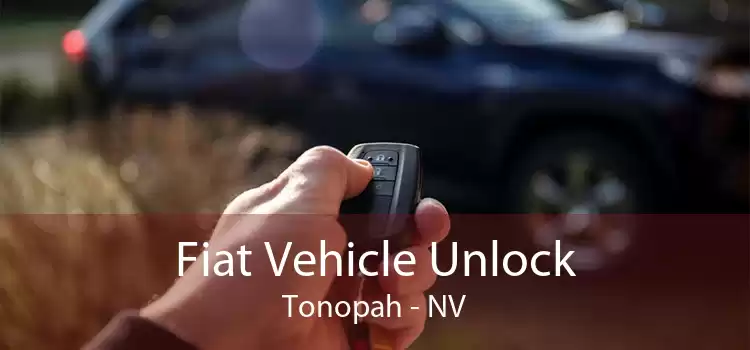 Fiat Vehicle Unlock Tonopah - NV