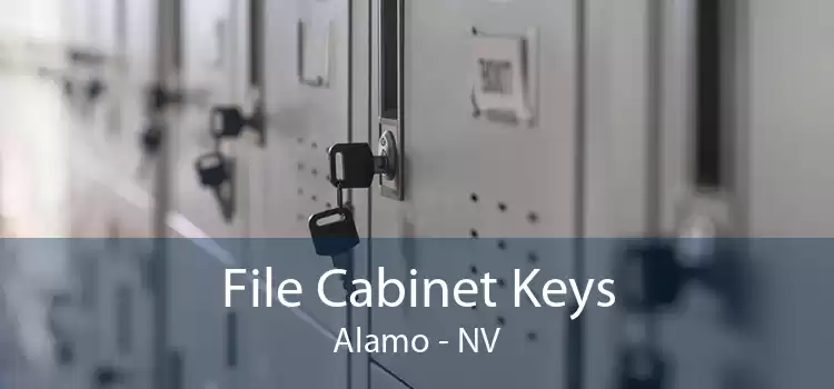 File Cabinet Keys Alamo - NV