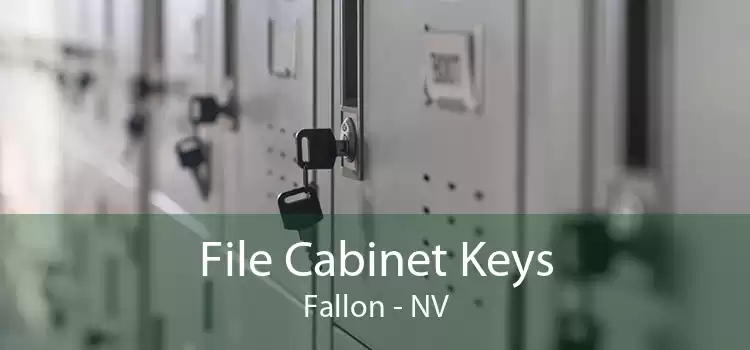 File Cabinet Keys Fallon - NV