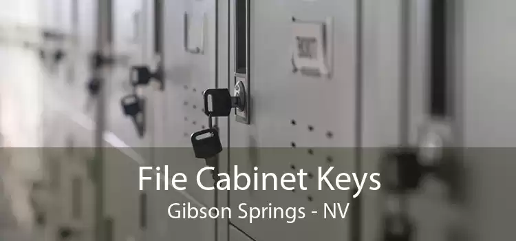 File Cabinet Keys Gibson Springs - NV