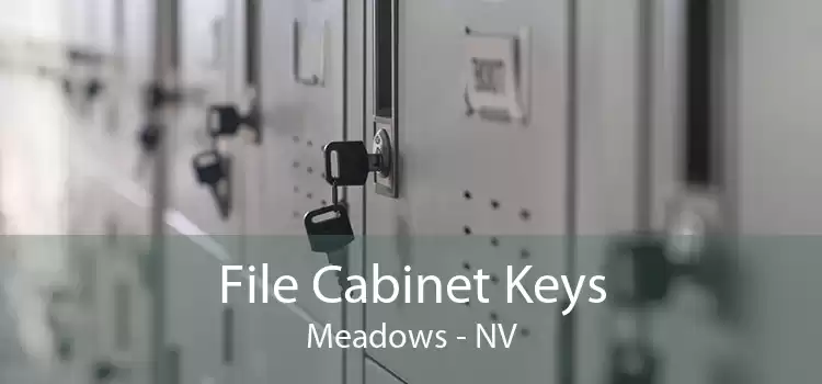 File Cabinet Keys Meadows - NV
