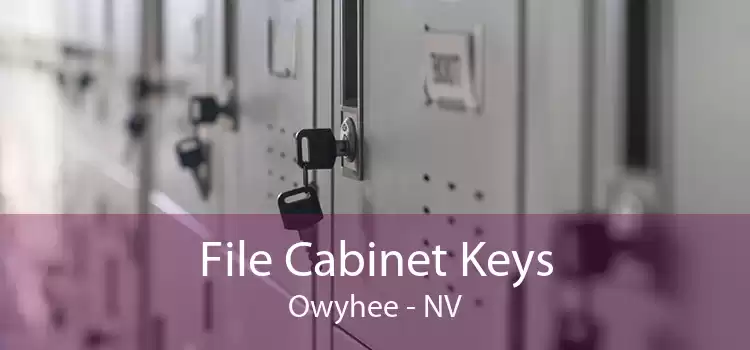 File Cabinet Keys Owyhee - NV
