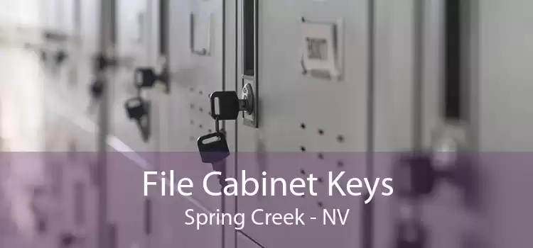 File Cabinet Keys Spring Creek - NV