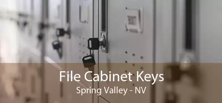 File Cabinet Keys Spring Valley - NV