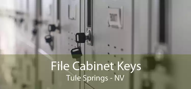 File Cabinet Keys Tule Springs - NV