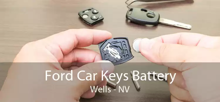 Ford Car Keys Battery Wells - NV
