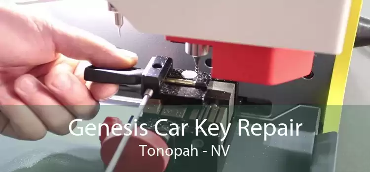Genesis Car Key Repair Tonopah - NV
