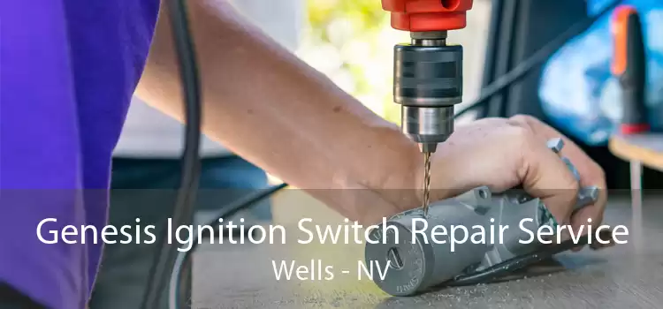 Genesis Ignition Switch Repair Service Wells - NV