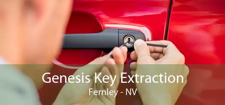 Genesis Key Extraction Fernley - NV