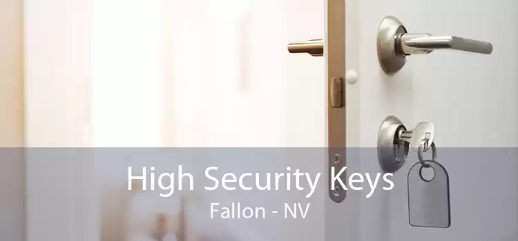 High Security Keys Fallon - NV