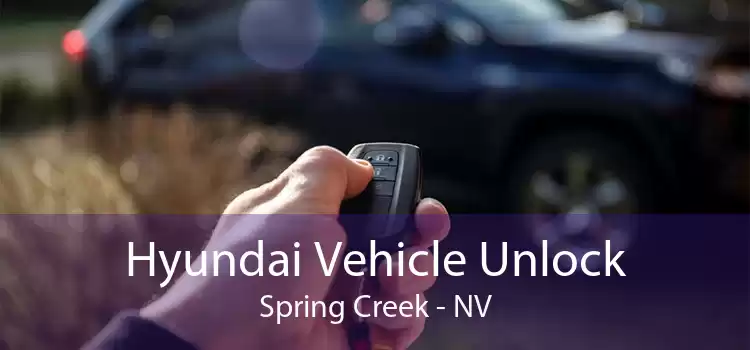 Hyundai Vehicle Unlock Spring Creek - NV