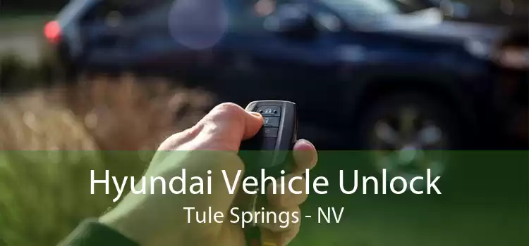 Hyundai Vehicle Unlock Tule Springs - NV