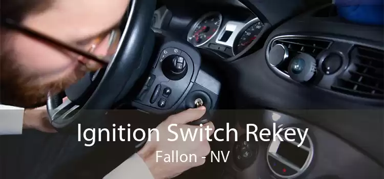 Ignition Switch Rekey Fallon - NV