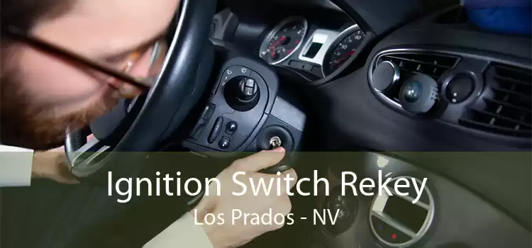 Ignition Switch Rekey Los Prados - NV