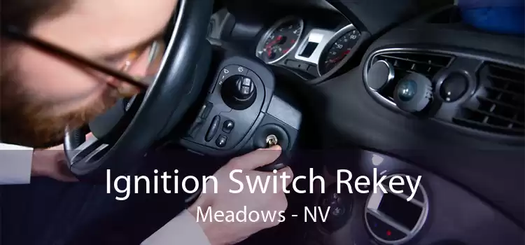 Ignition Switch Rekey Meadows - NV
