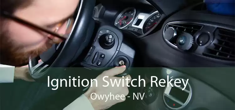 Ignition Switch Rekey Owyhee - NV
