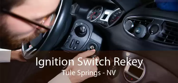 Ignition Switch Rekey Tule Springs - NV