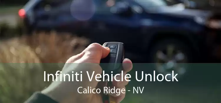 Infiniti Vehicle Unlock Calico Ridge - NV