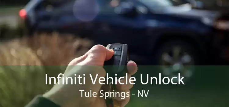 Infiniti Vehicle Unlock Tule Springs - NV
