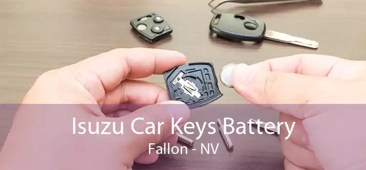 Isuzu Car Keys Battery Fallon - NV
