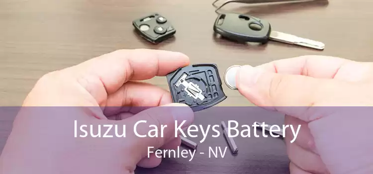 Isuzu Car Keys Battery Fernley - NV