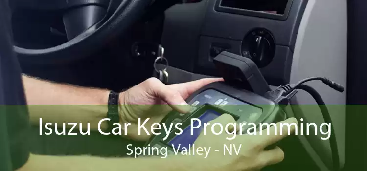 Isuzu Car Keys Programming Spring Valley - NV