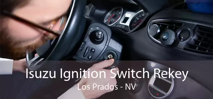 Isuzu Ignition Switch Rekey Los Prados - NV
