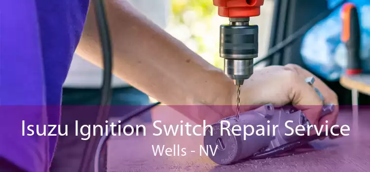Isuzu Ignition Switch Repair Service Wells - NV