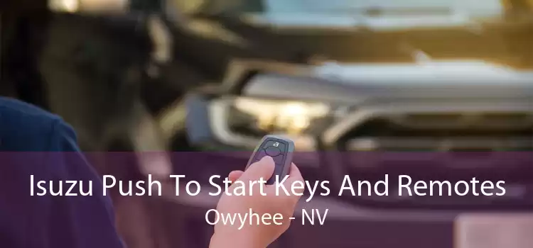 Isuzu Push To Start Keys And Remotes Owyhee - NV