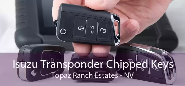 Isuzu Transponder Chipped Keys Topaz Ranch Estates - NV