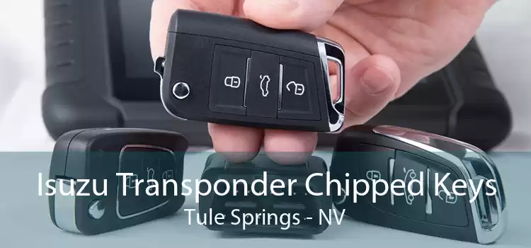 Isuzu Transponder Chipped Keys Tule Springs - NV