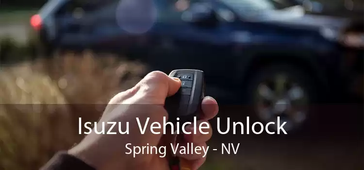 Isuzu Vehicle Unlock Spring Valley - NV
